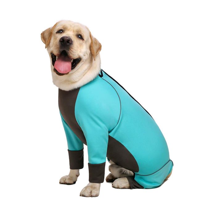 Hovedbilde Turkis heldress til hund - Snøbeskyttende dress
