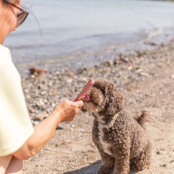 Hovedbilde Ispinne hundetygg - Twister 40g