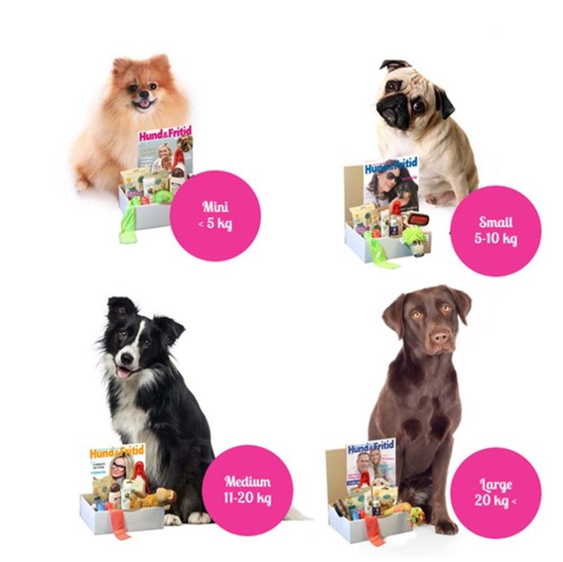 Poteklubben Forundringspakke Hund