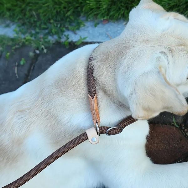 Hovedbilde Beige slip-lead hundelenke med halsbånd - 2 str