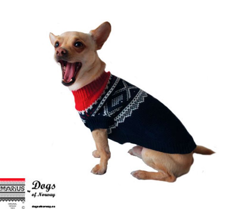 Blå Mariusgenser for hund ® 70% ull