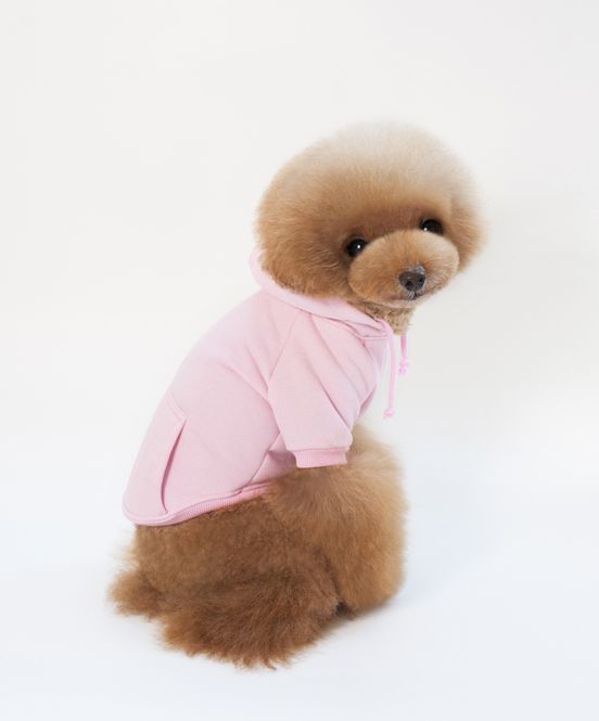 Hovedbilde Lys rosa hettegenser med knapper til hund (Rygg 35cm)
