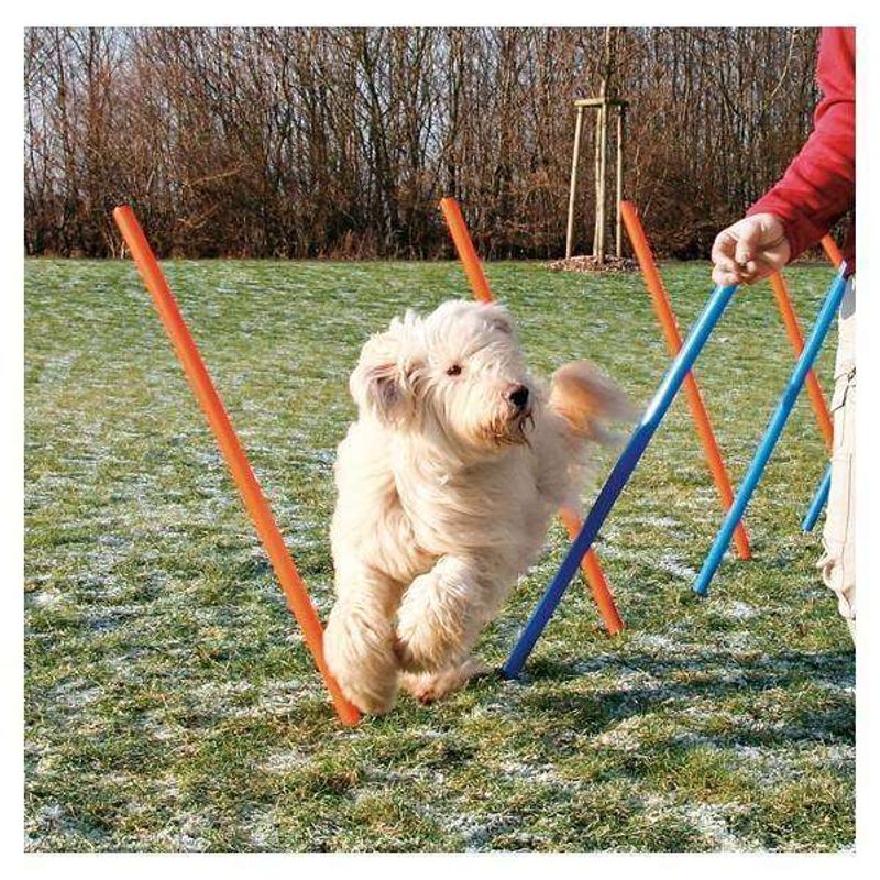 Agility Slalompinner