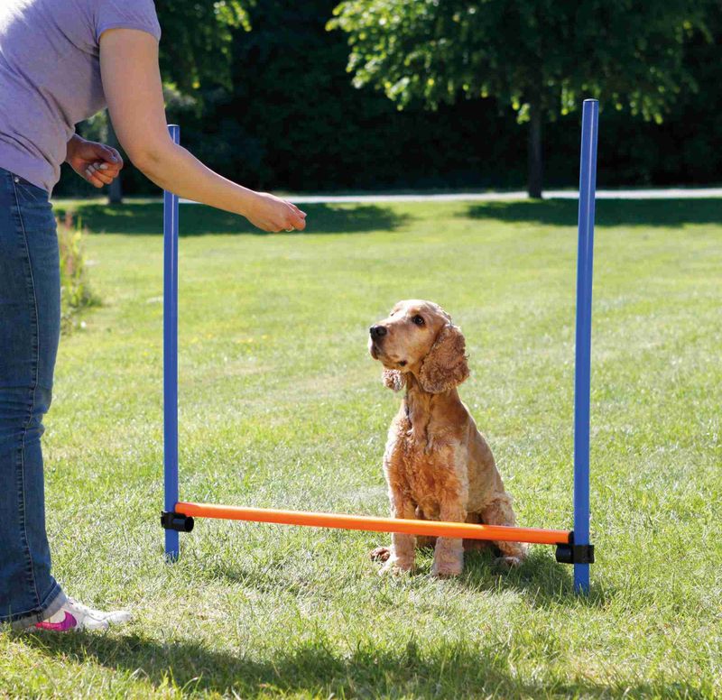 Agility Hinder