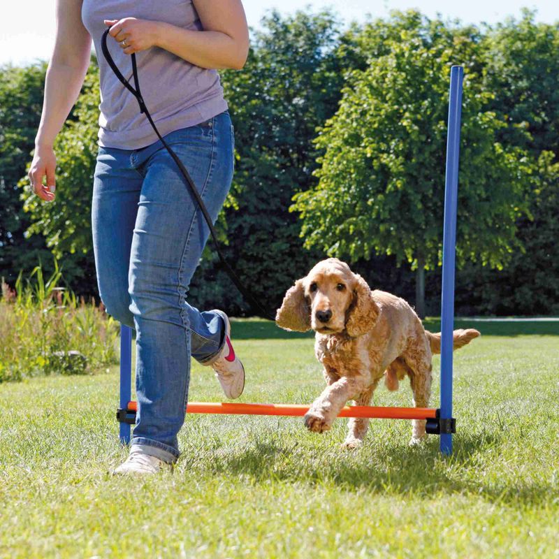 Agility Hinder