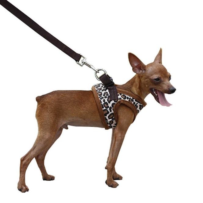 Hovedbilde Leopard step-in hundesele