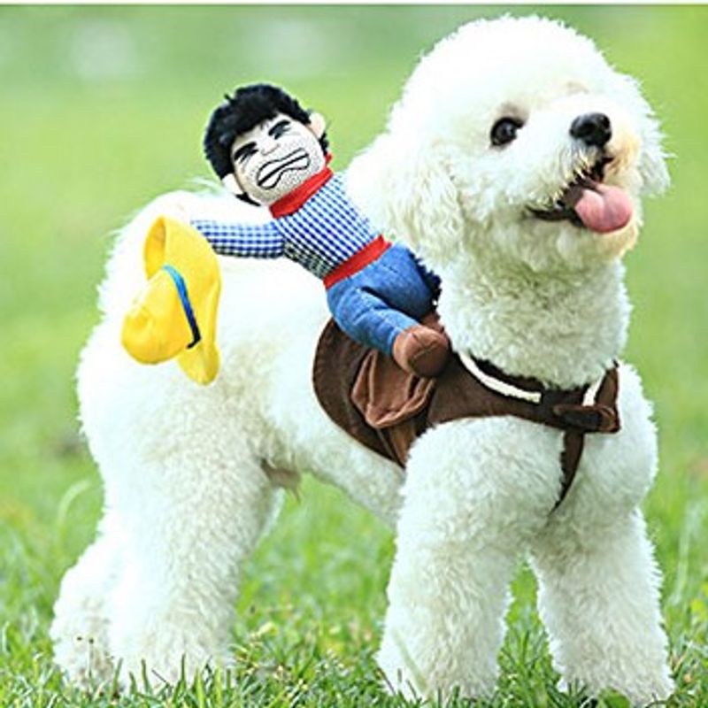 Cowboy hundekostyme