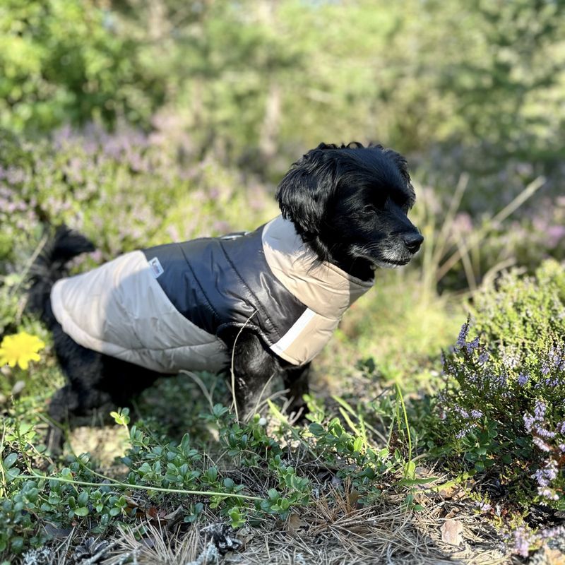 Khaki og sort boblevest til hund