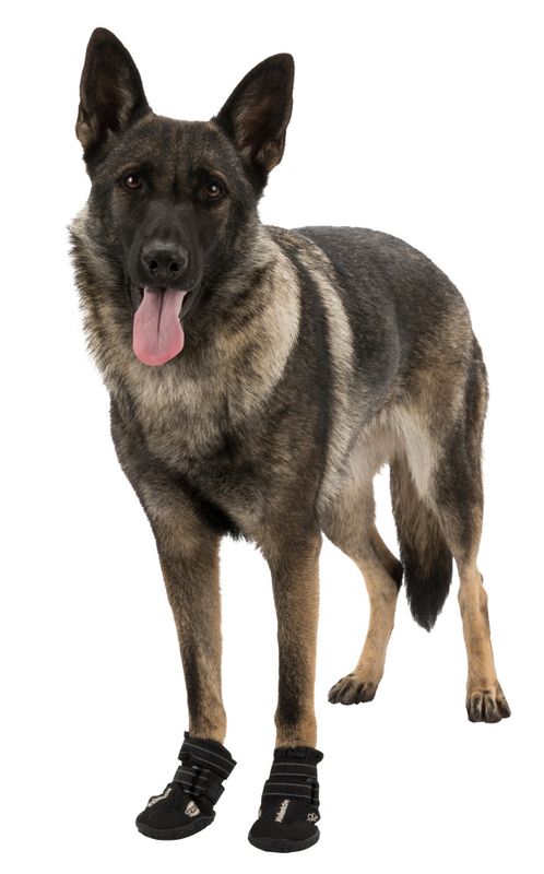 Sorte walker active hundesko 2pk