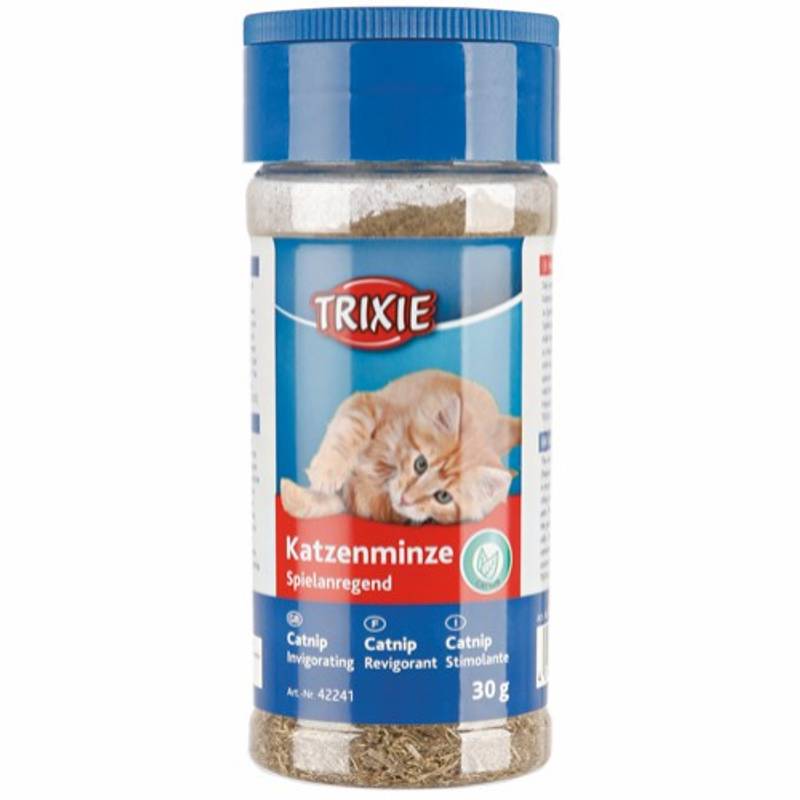 Catnip pulver på boks, shaker