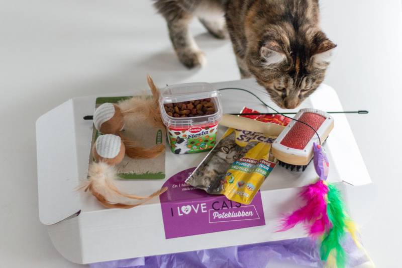 Poteklubben Katt - Overraskelsespakke