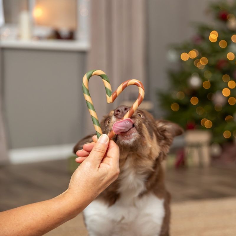 Candycane hundetygg 