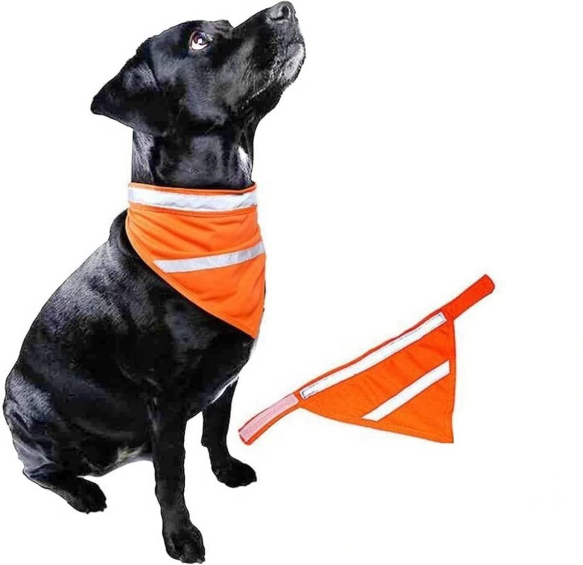 Test - Reflekspakke for hund og eier