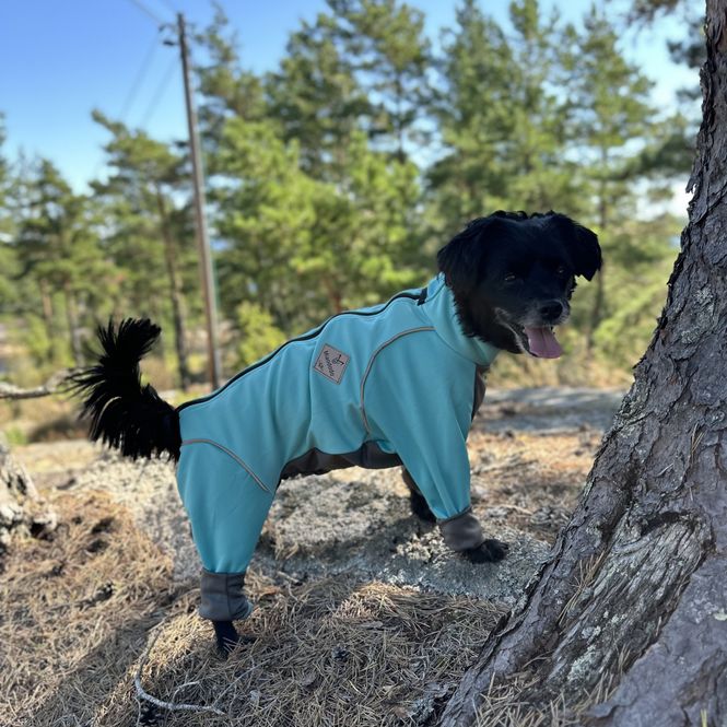 Hovedbilde Turkis heldress til hund - Snøbeskyttende dress