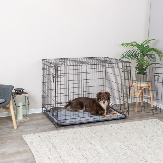 Hovedbilde Stålbur Home Kennel til hund, XL - ca 50 kg