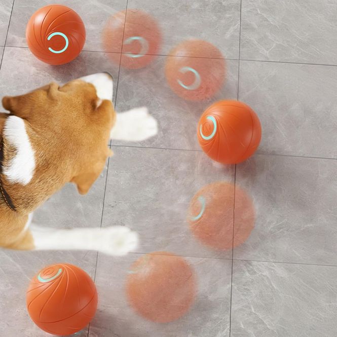Hovedbilde Elektrisk leke til katt og småhunder: jumping ball