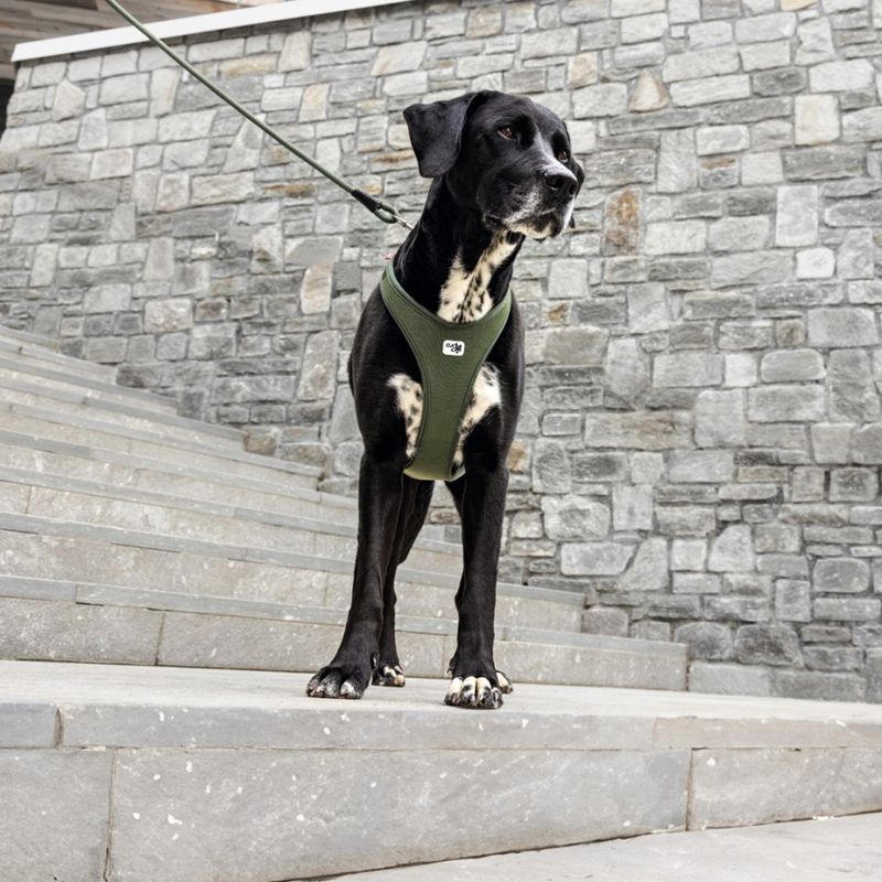 Curli Belka Air Mesh hundesele (11-48 kg) - Ruby