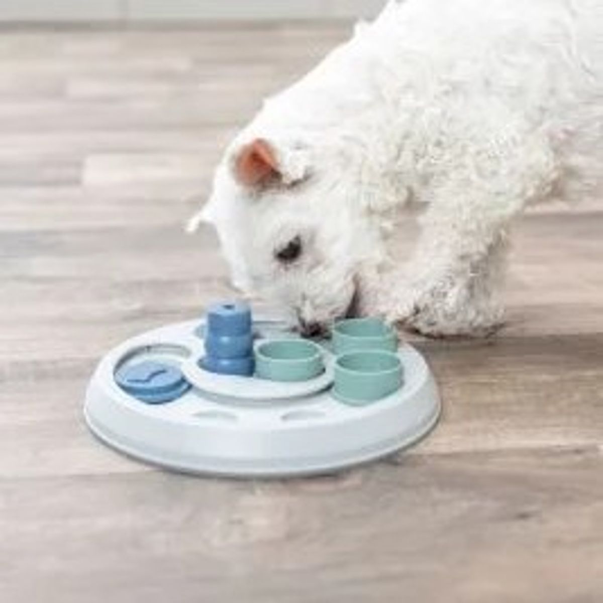 Flip & Fun Level 2 - aktiviseringsleke til hund
