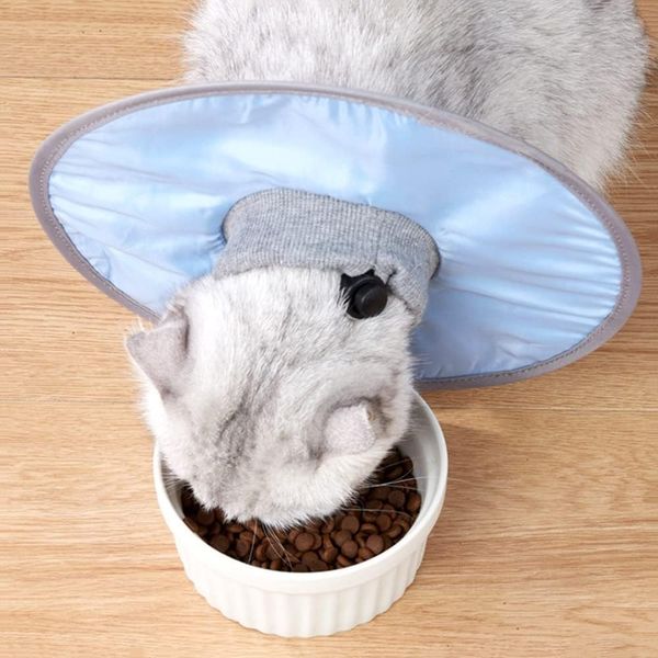 Hovedbilde Blå Elizabeth sårkrage til hund og katt