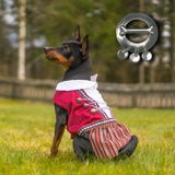 Hovedbilde Hundebunad til tispe med sølje | 17. mai festdrakt til hund