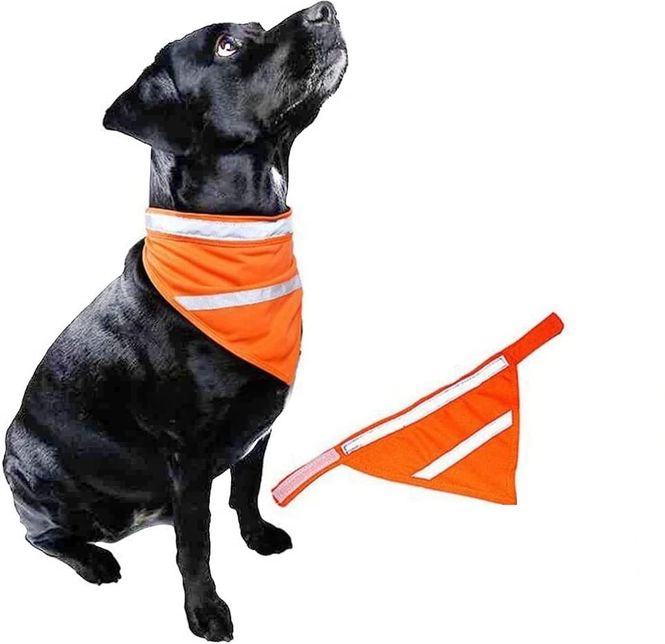 Hovedbilde Oransj refleks bandana / skjerf for hund