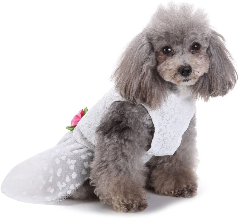 Brudekjole til liten hund