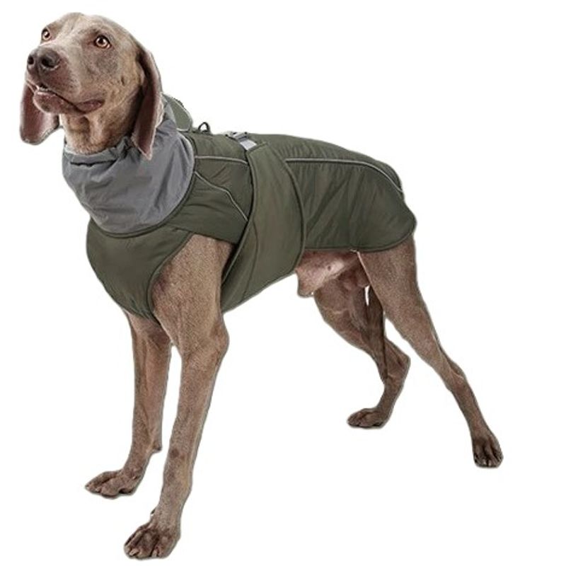 Militærgrønt vannavvisende varmt hundedekken med refleks
