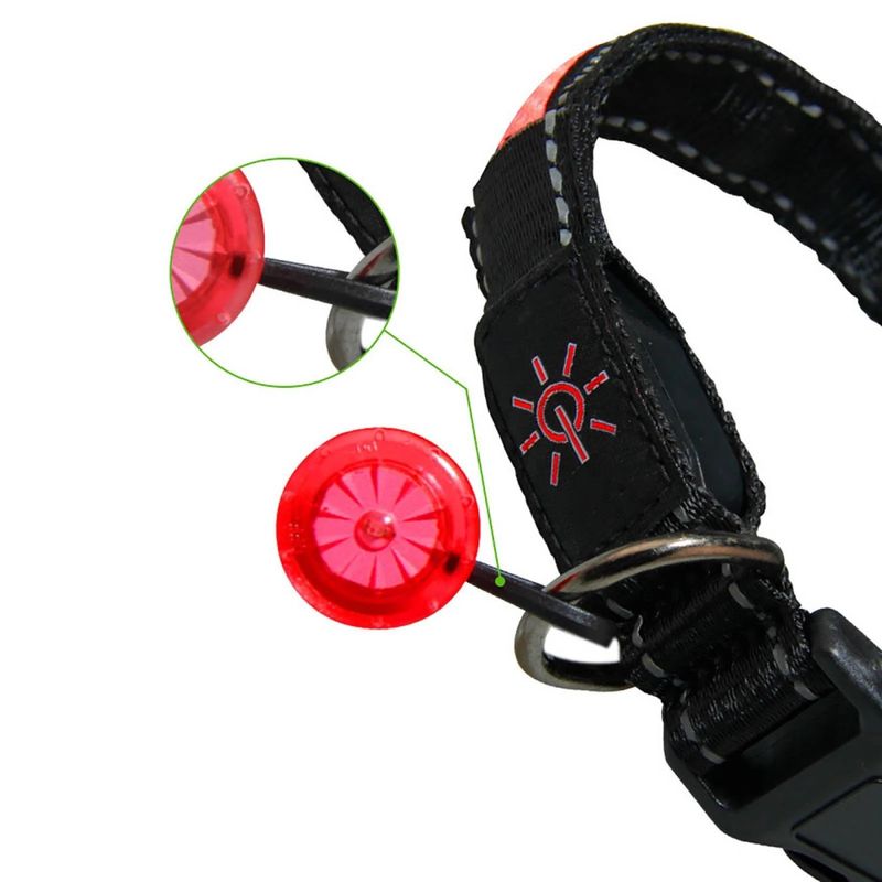 Blått lite ledlys til hund