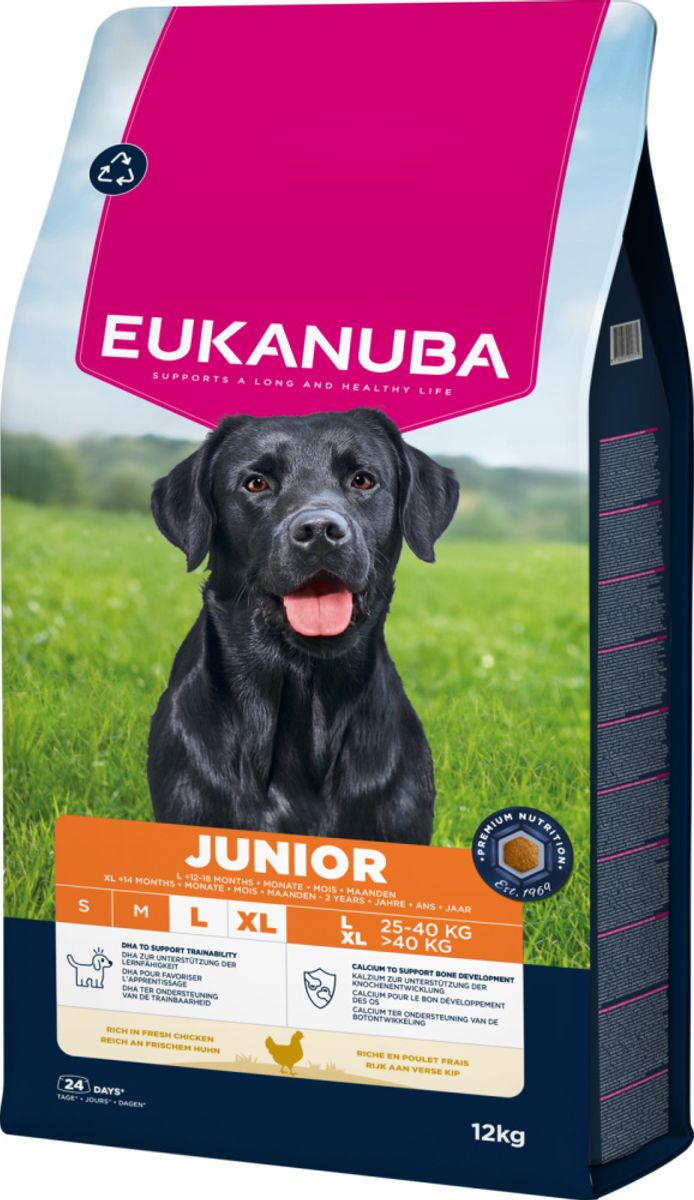 Eukanuba Junior Large Breed Kylling 12kg