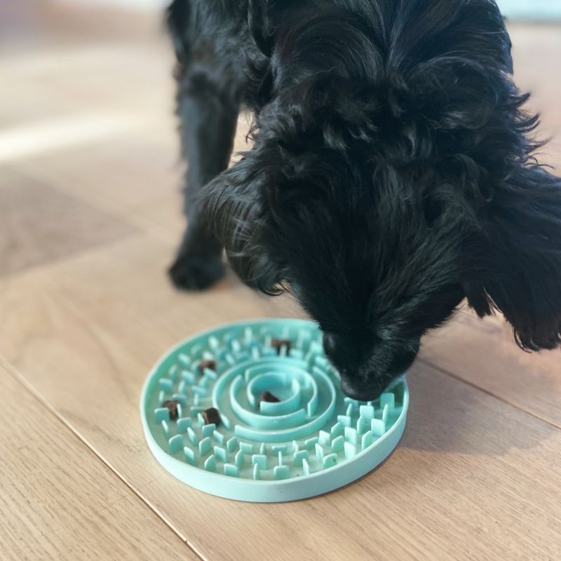 Turkis slikkematte Ø:15 cm