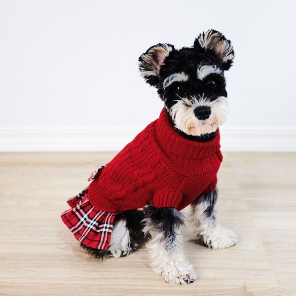 Hovedbilde Julerød strikket hundegenser med skjørt