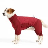 Hovedbilde Rød heldress til hund