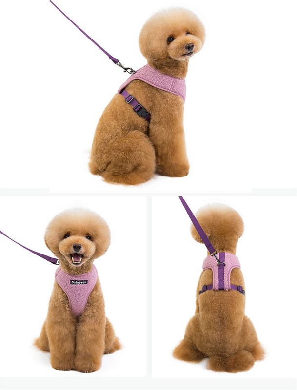 Lilla teddy hunde- og kattesele