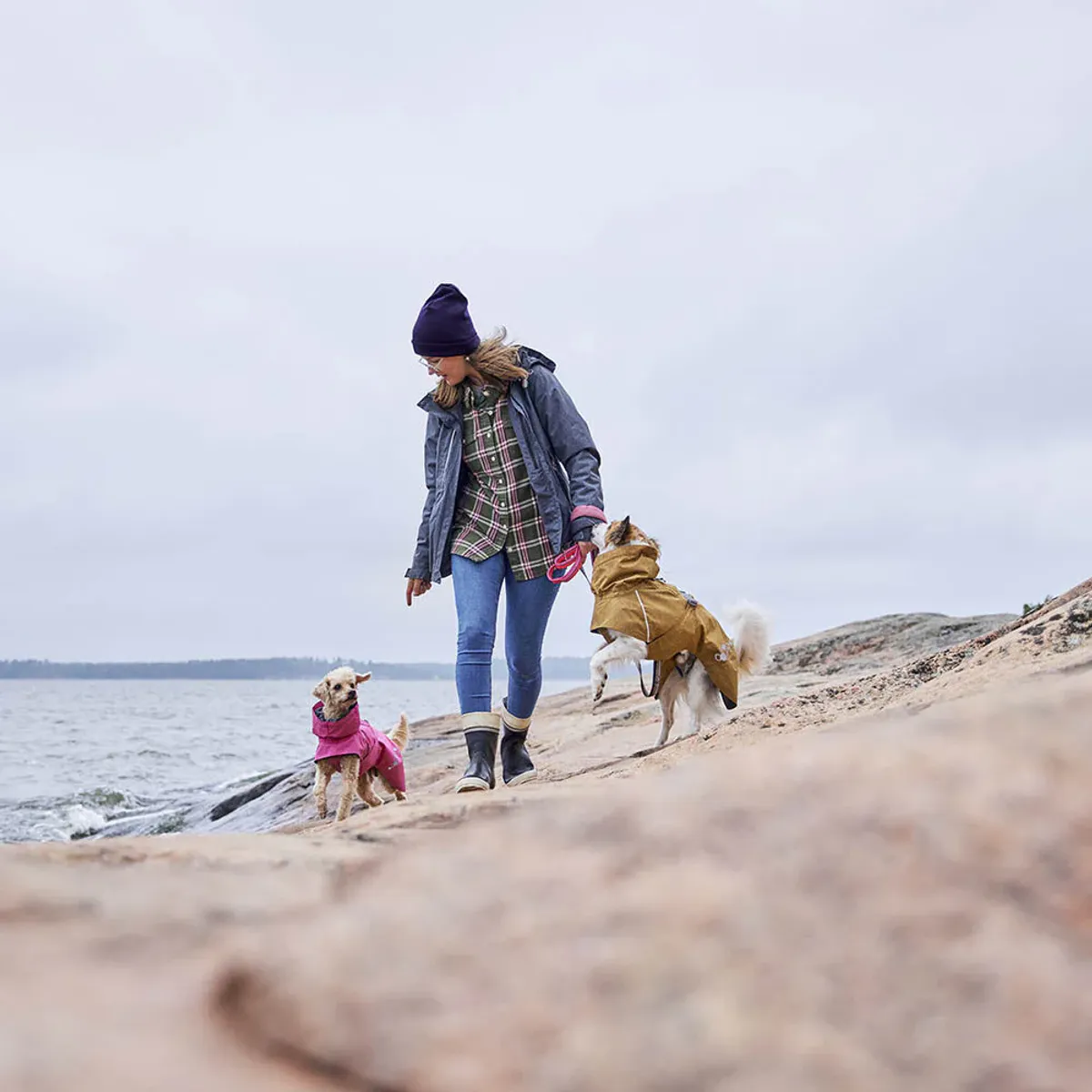 Hurtta Monsoon II ECO hundedekken - Blackberry