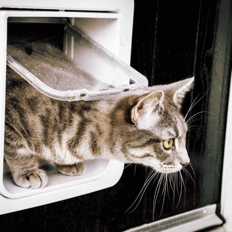 Brun Sureflap kattedør - Katteluke med chipleser