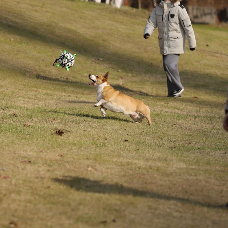 Oppblåsbar fotball til hund - solid, spretten ball for aktiv lek og trening, Ø: 15 cm