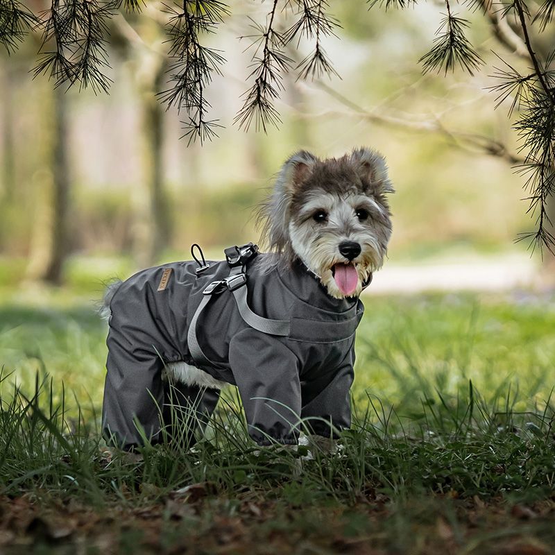 Grå fire-bens overall til hund, hundedress som er vann- og vindtett
