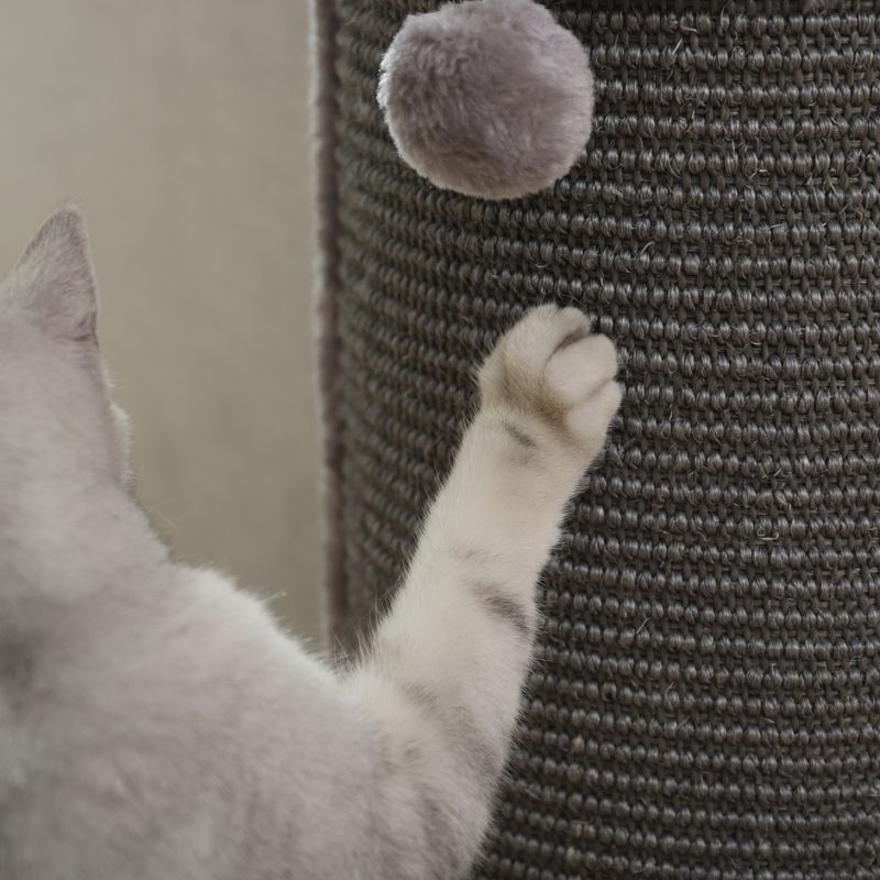 Grått klorestativ til katt for sofa og hjørner