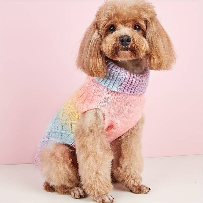 Hovedbilde Pastell regnbue ombre strikket hundegenser 