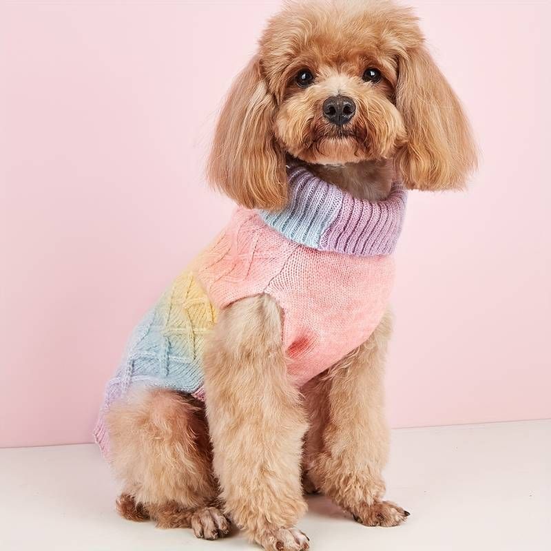 Pastell regnbue ombre strikket hundegenser 