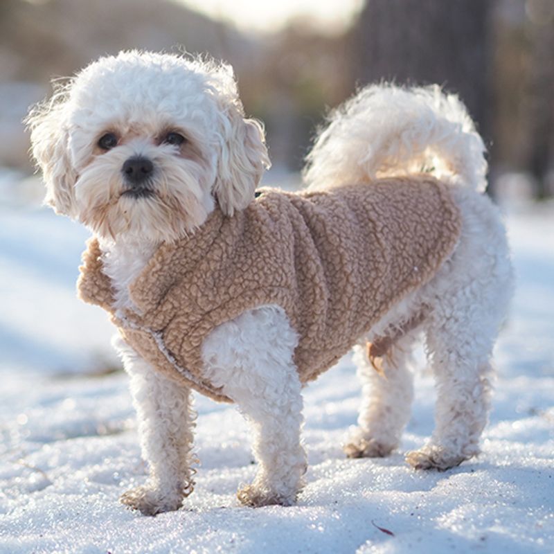 Teddy hundevest - Tan