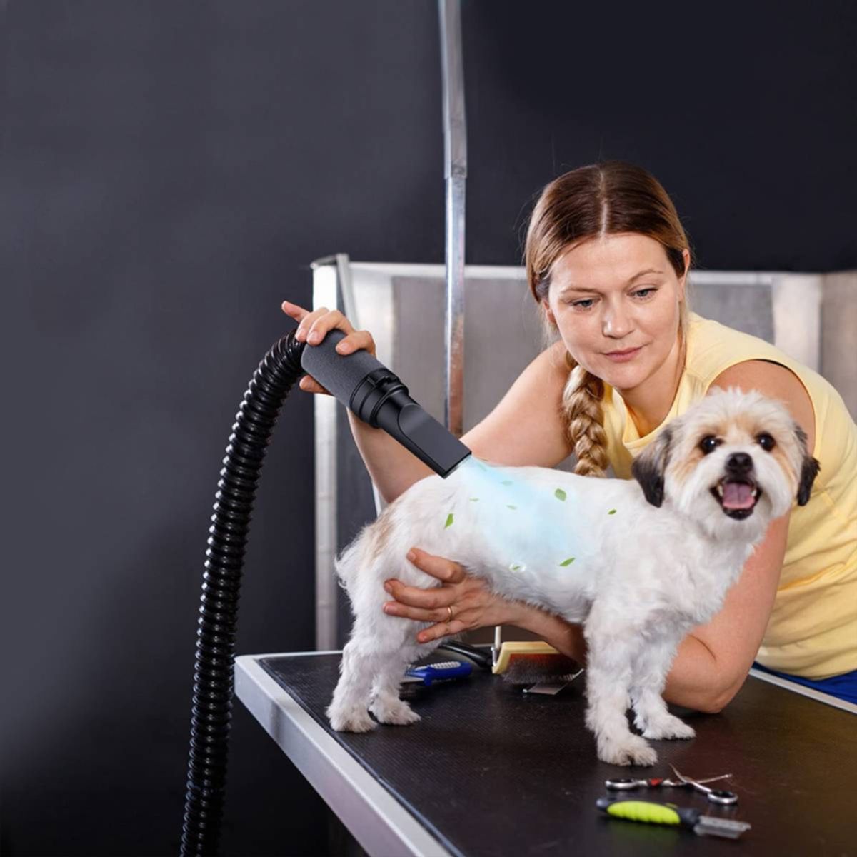 Pawsome hundeblåser Max Airflow 3200W med veggfeste inkludert!