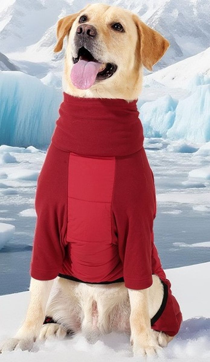 Rød heldress til hund