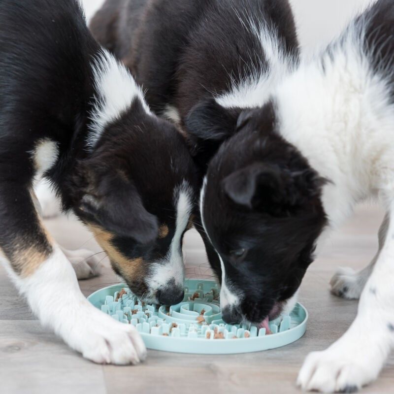 Turkis slikkematte Ø:15 cm