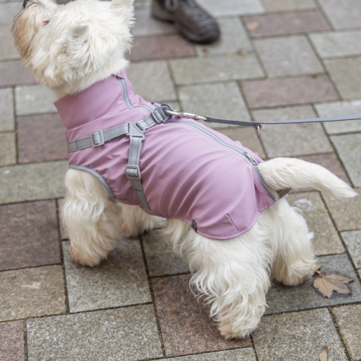 Rosa regndekken med integrert sele til hund