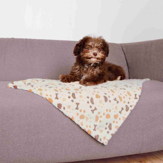 Hovedbilde Hundeteppe: Beige plysjteppe til hund og katt, 3 str