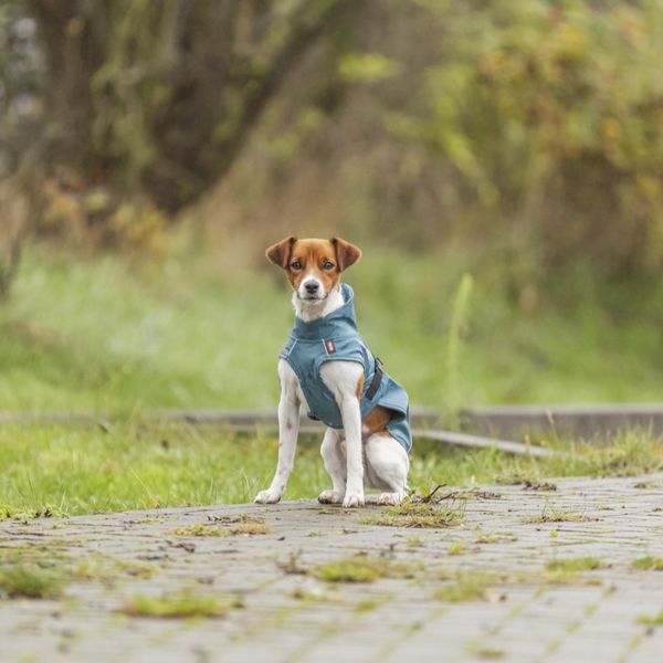 Hovedbilde Petrol regndekken til hund