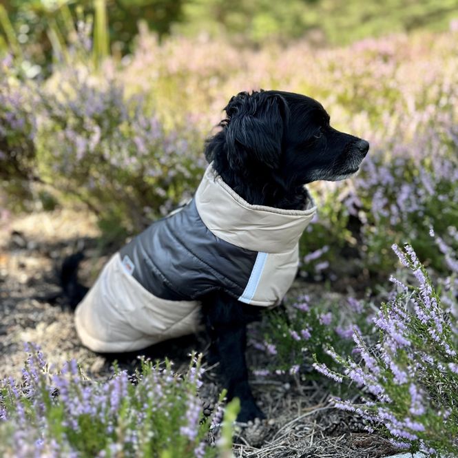 Hovedbilde Khaki og sort boblevest til hund