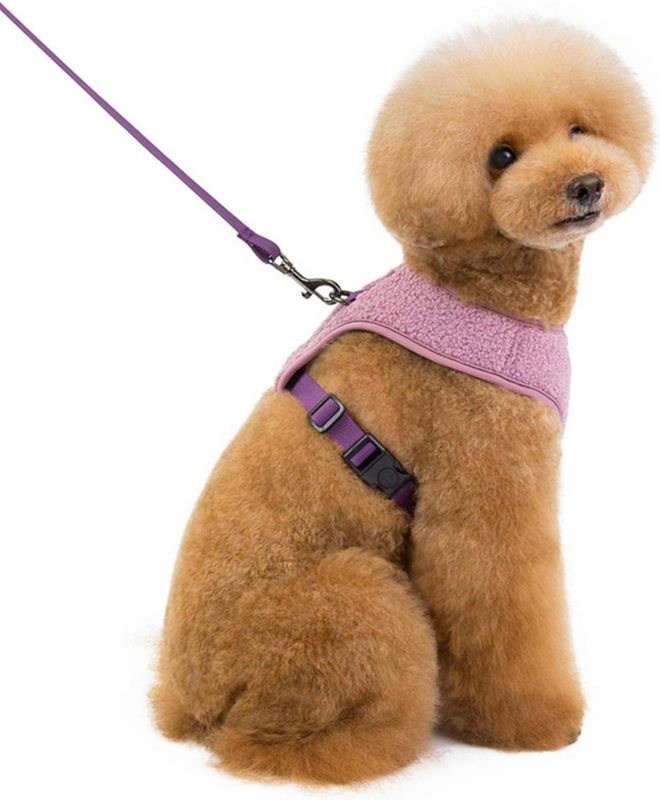 Lilla teddy hunde- og kattesele