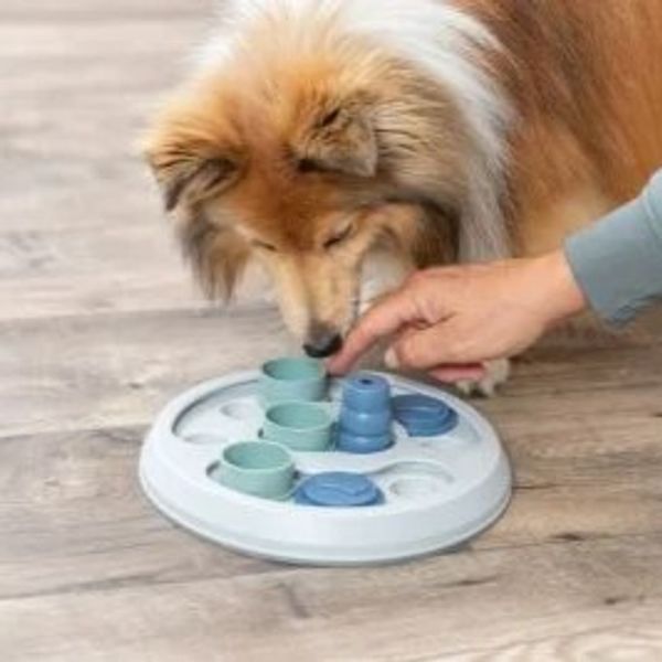 Hovedbilde Flip & Fun Level 2 - aktiviseringsleke til hund